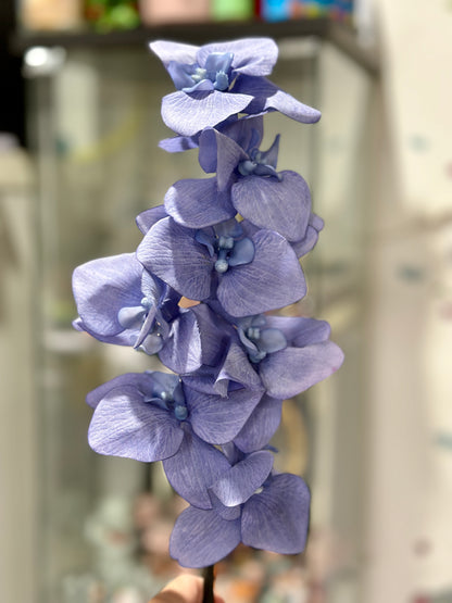High Quality Real Touch Orchids