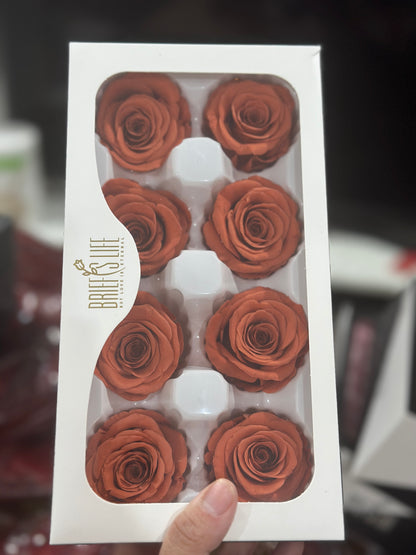 Grade A Preserved Roses 4cm (8 Roses/box)