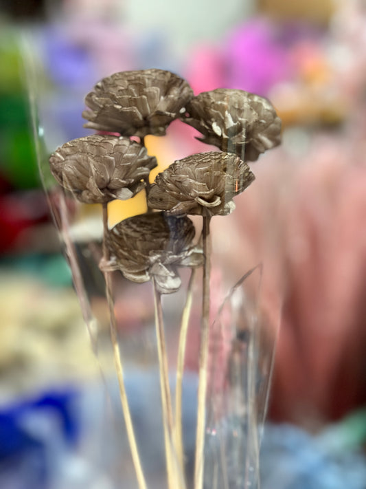 Sola Wood Flowers - Price per stem