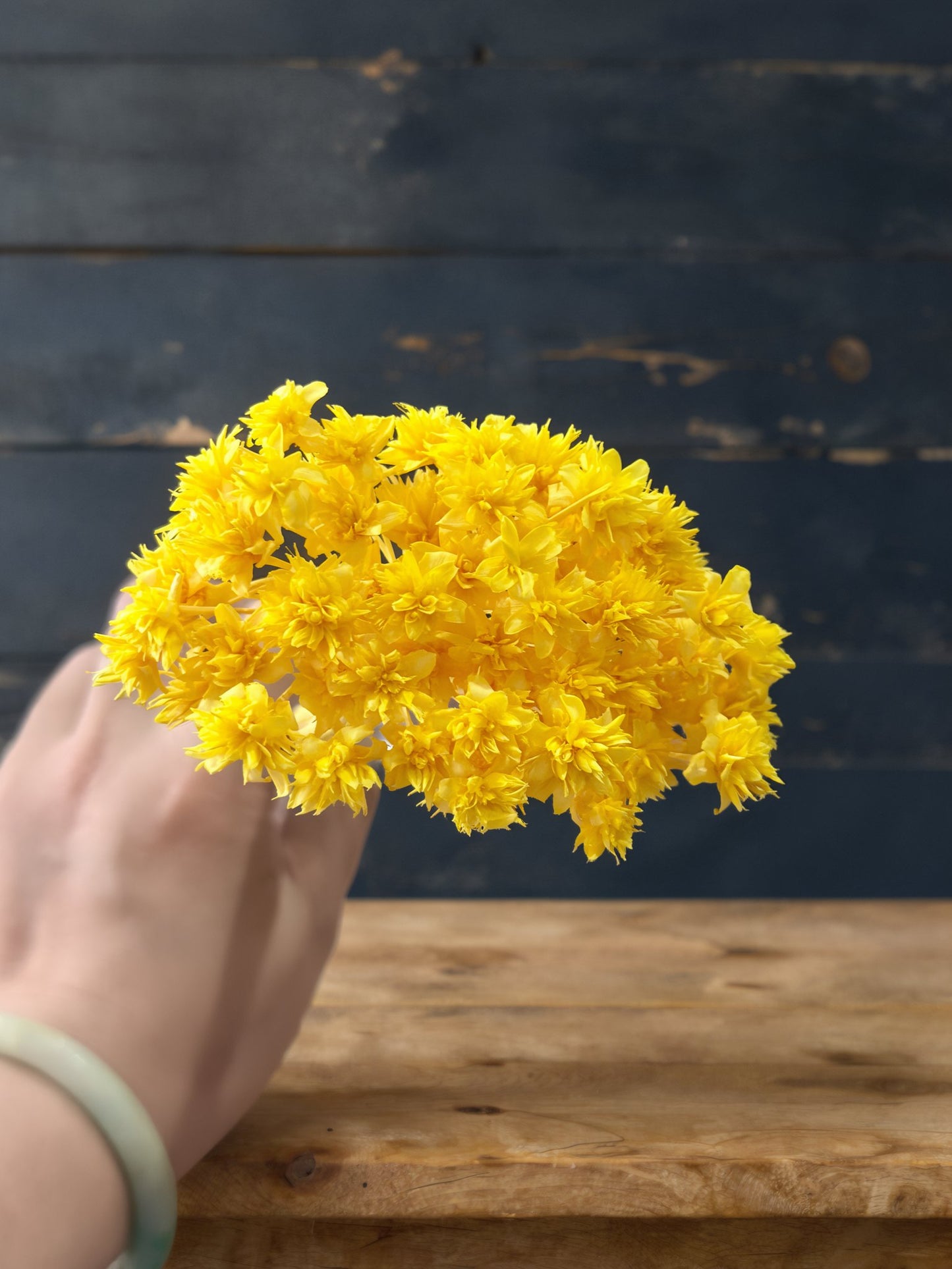 Star Flowers
