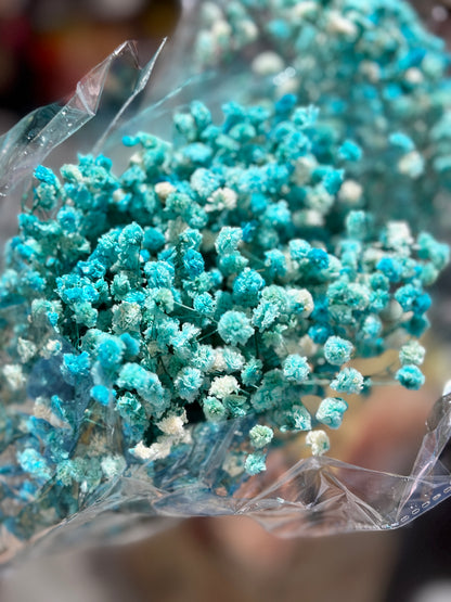 Baby's Breath