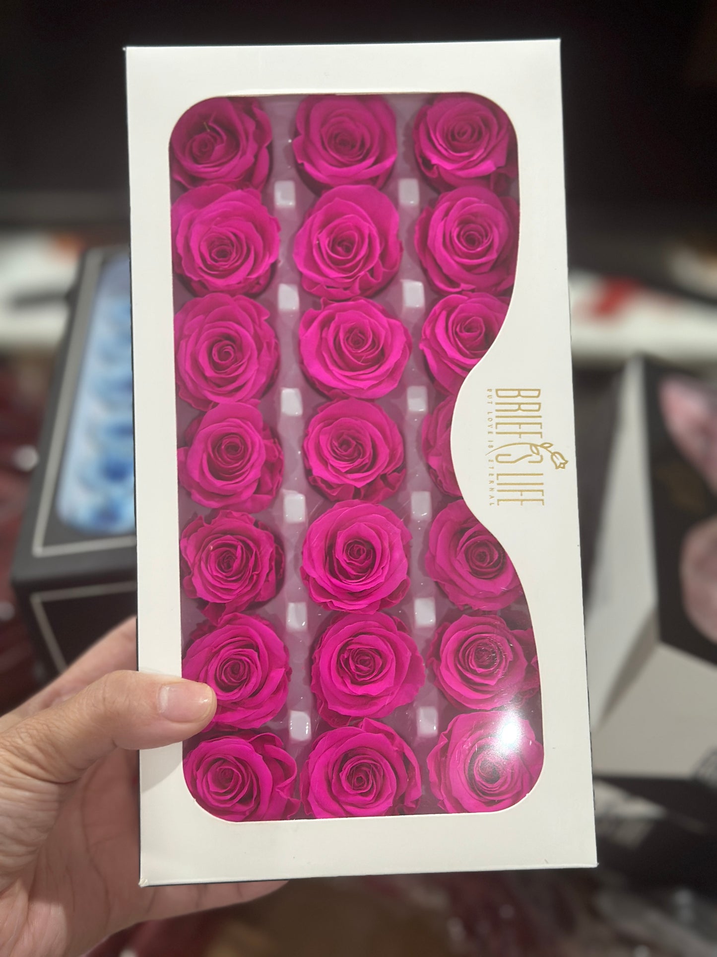 Preserved Roses - 21 pieces