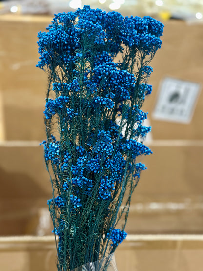 Rice Flowers