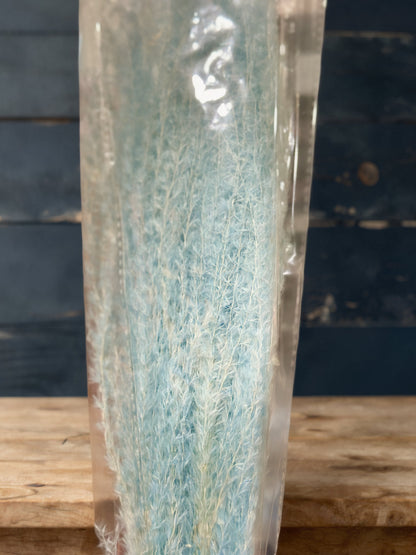 Horsetails/ Whisk