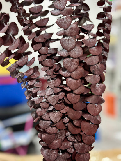 Dried Eucalyptus