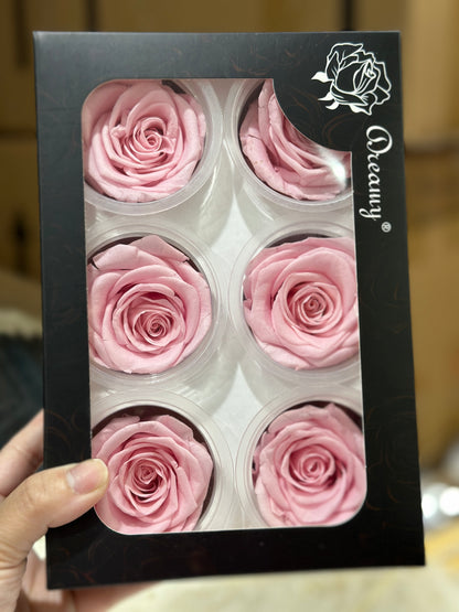 Grade A Preserved roses 5-6cm (6 Roses/Box)
