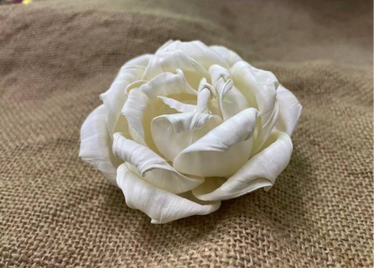 Sola Wood Flowers - Price per stem
