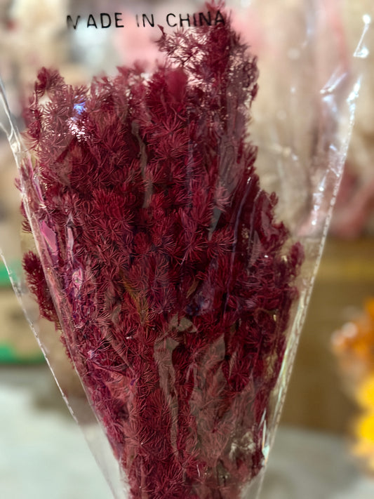 High Quality Ming Fern / Asparagus