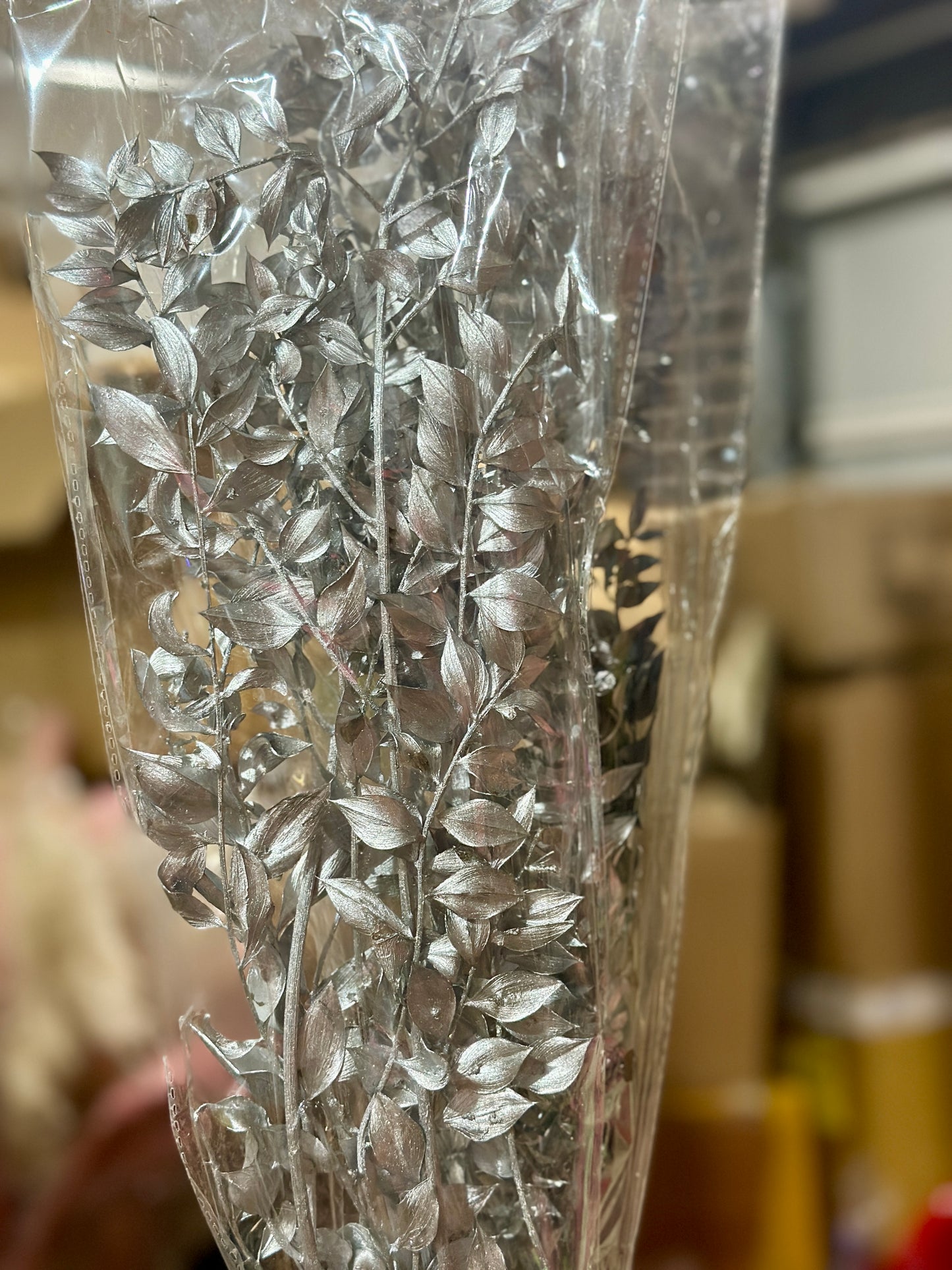 Dried Ruscus