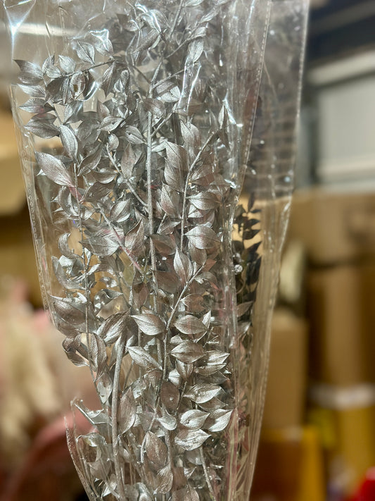 Dried Ruscus