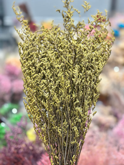 Dried Misty / Limonium