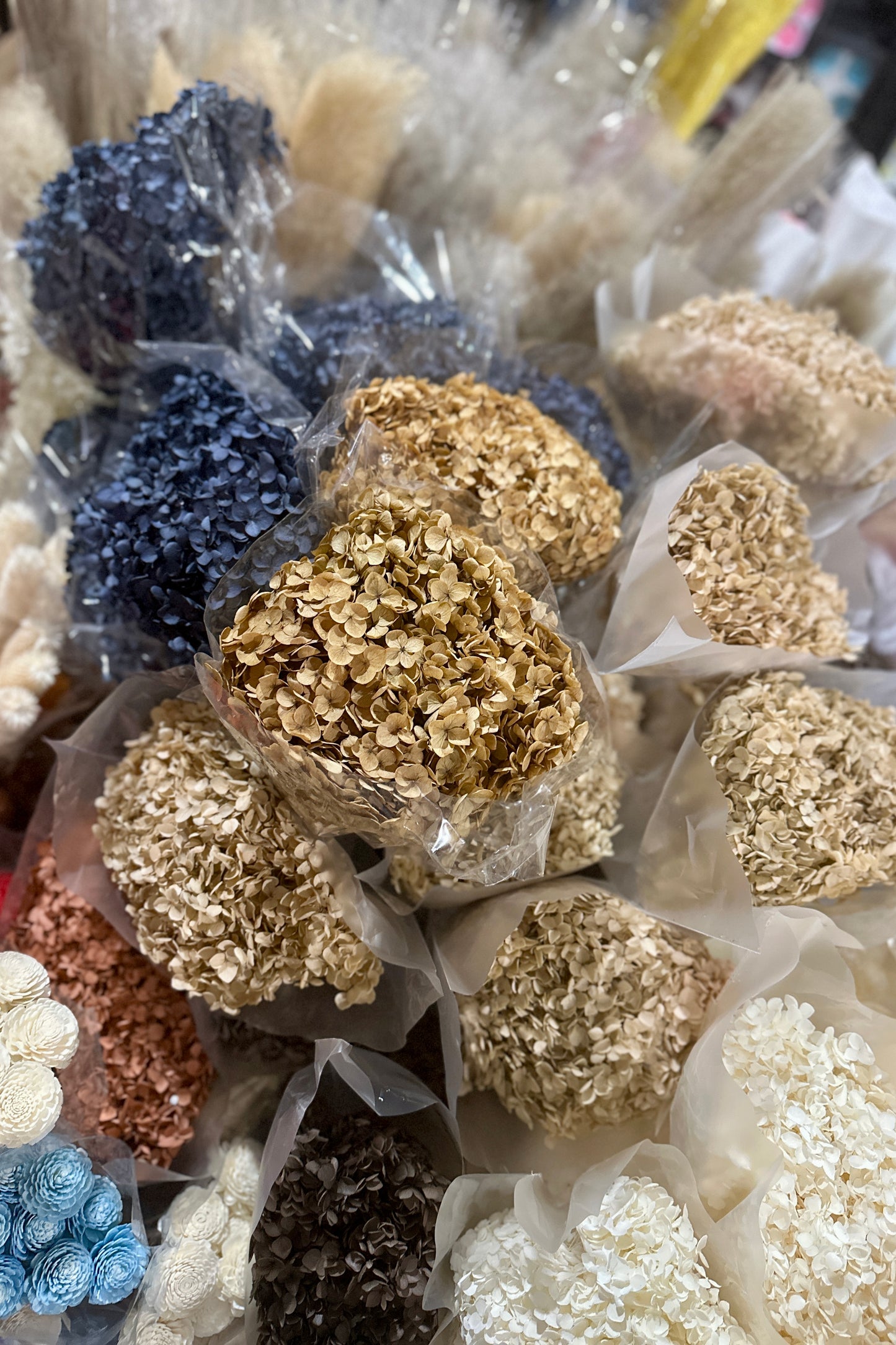 Anna Hydrangeas Big Bunch