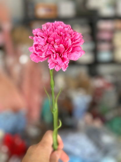 Silk Real Touch Carnations