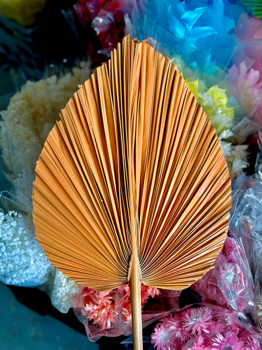 Big Palm Leaves 35cm x 45cm
