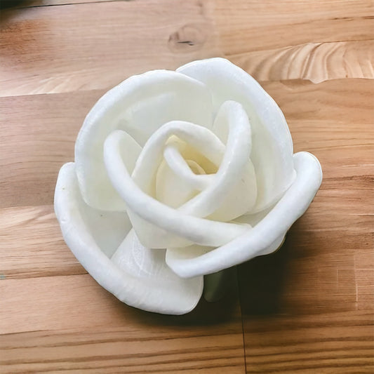 Sola Wood Flowers - Price per stem