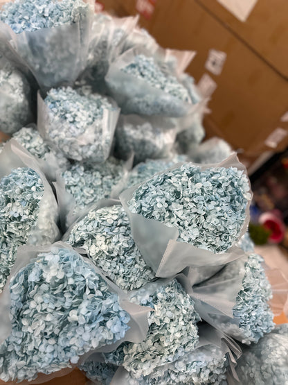 Anna Hydrangeas Big Bunch