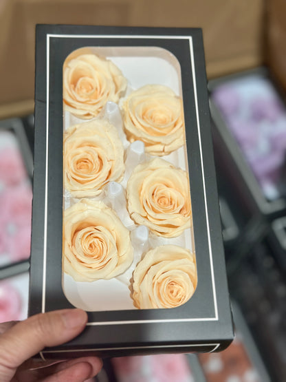 Grade A Preserved roses 5-6cm (6 Roses/Box)