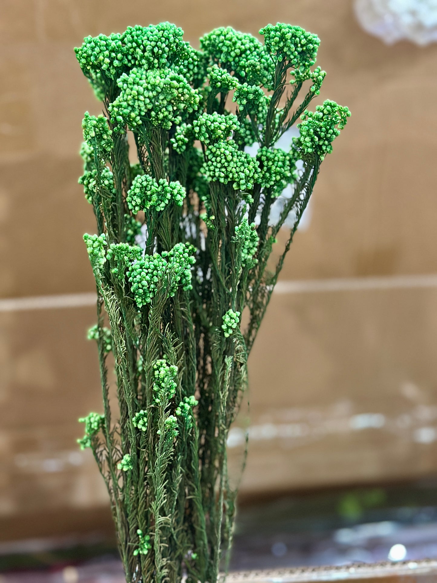 Rice Flowers