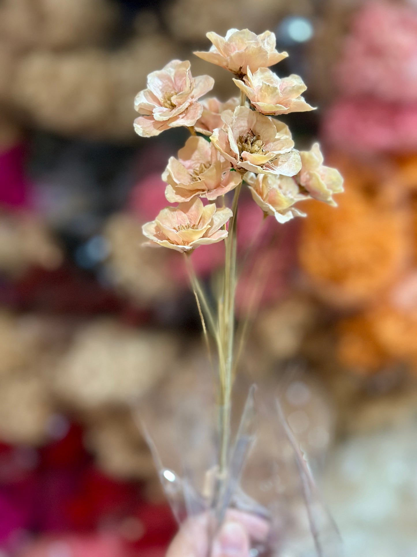 Small Bellflowers - 10 stems/Pack