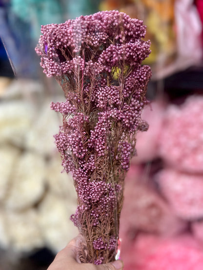 Rice Flowers