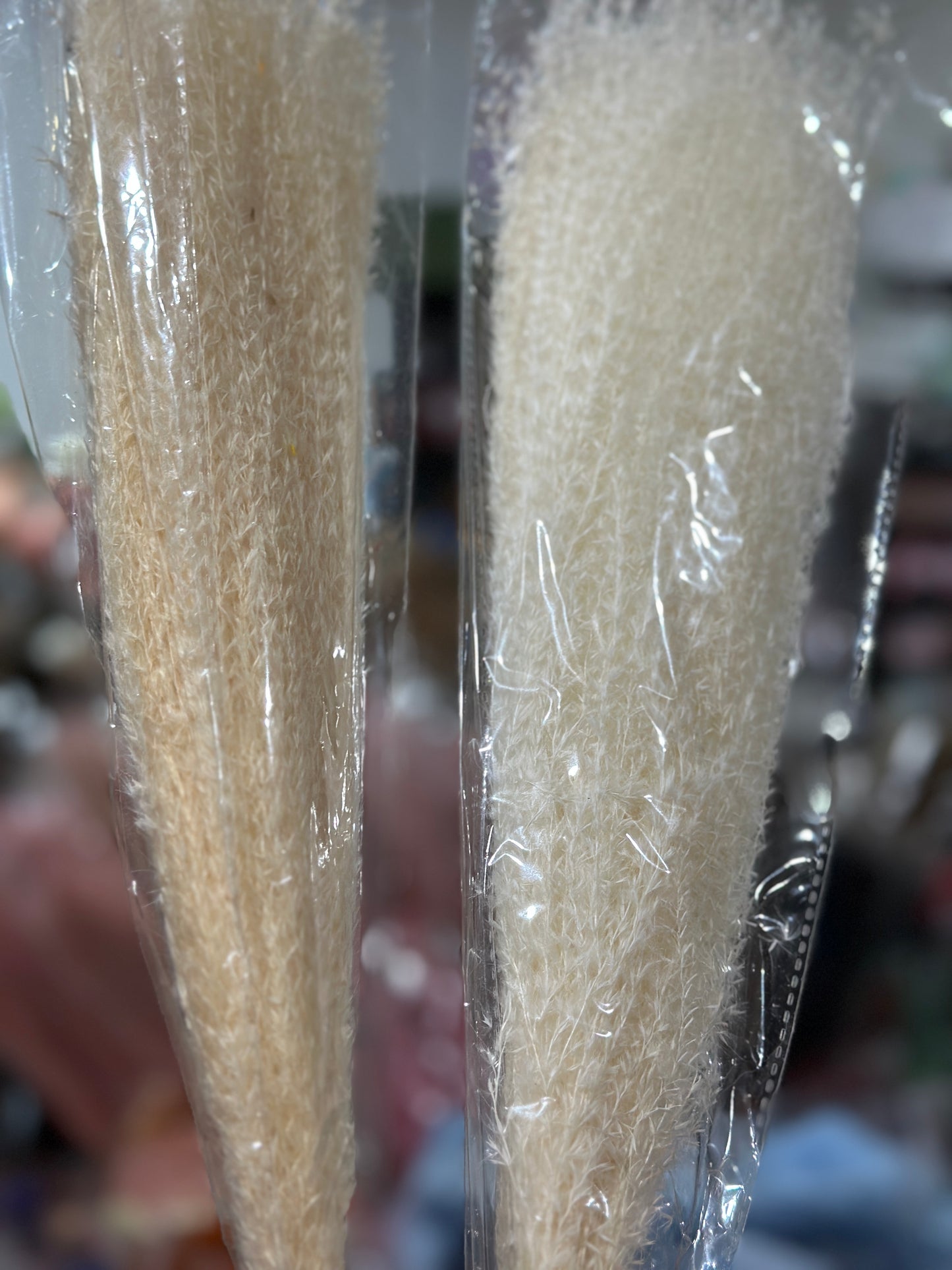 Horsetails/ Whisk