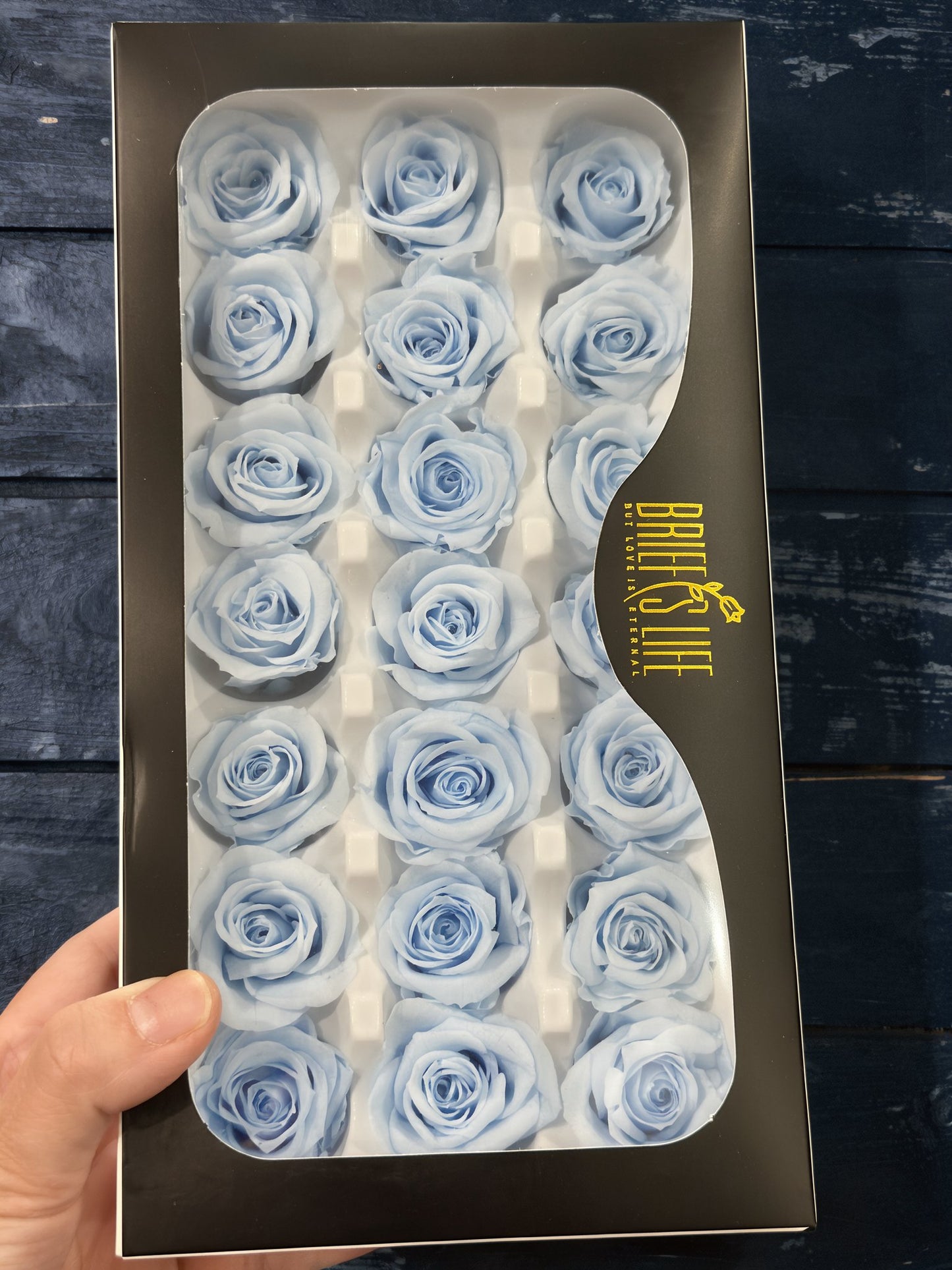 Preserved Roses - 21 pieces