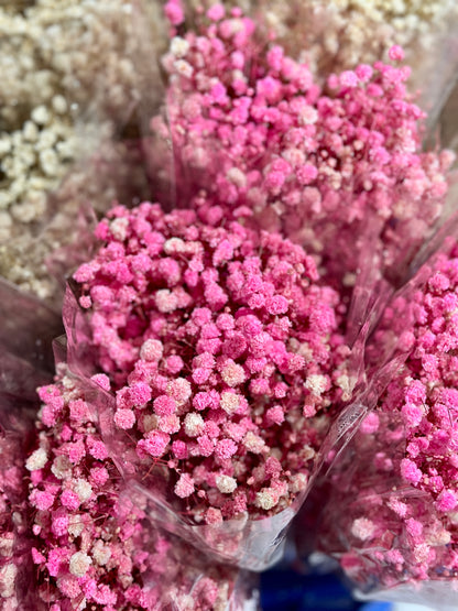 Baby's Breath