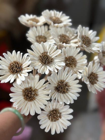 Sola Wood Flowers - Price per stem