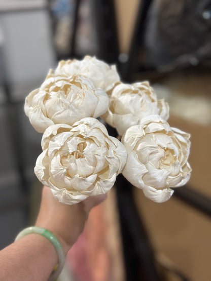 Sola Wood Flowers - Price per stem