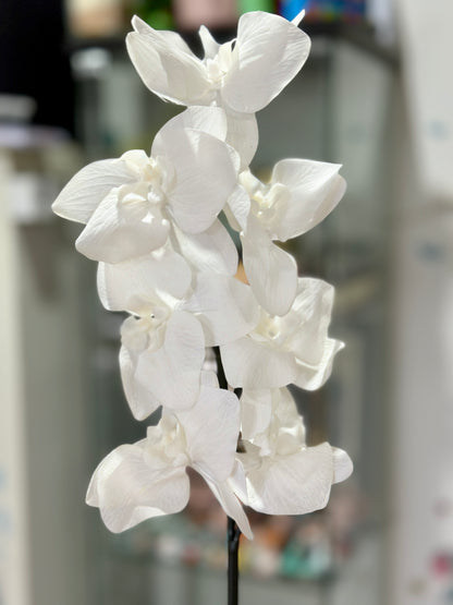 High Quality Real Touch Orchids