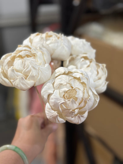 Sola Wood Flowers - Price per stem