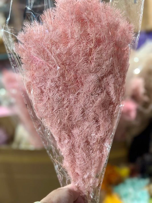 High Quality Ming Fern / Asparagus