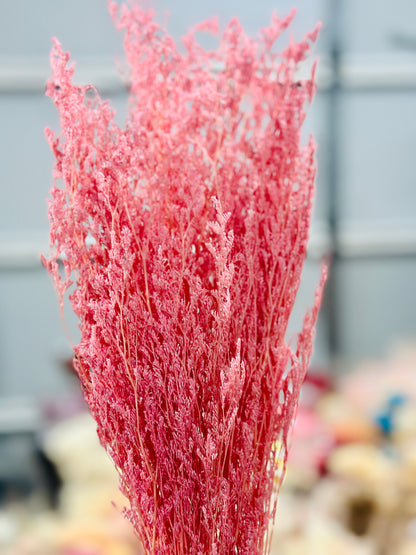 Dried Misty / Limonium