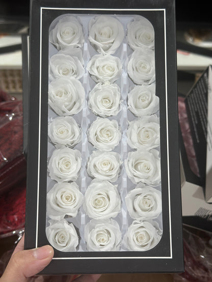 Preserved Roses - 21 pieces
