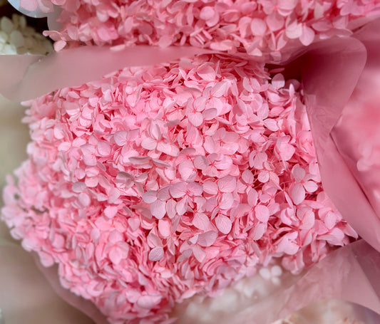 Anna Hydrangeas Big Bunch