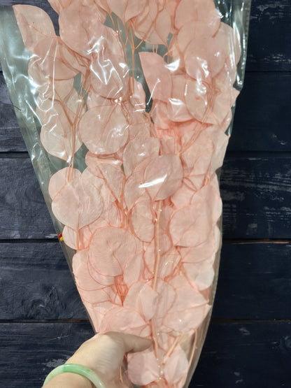 Preserved Poly Gum