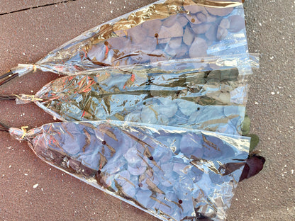 Preserved Poly Gum