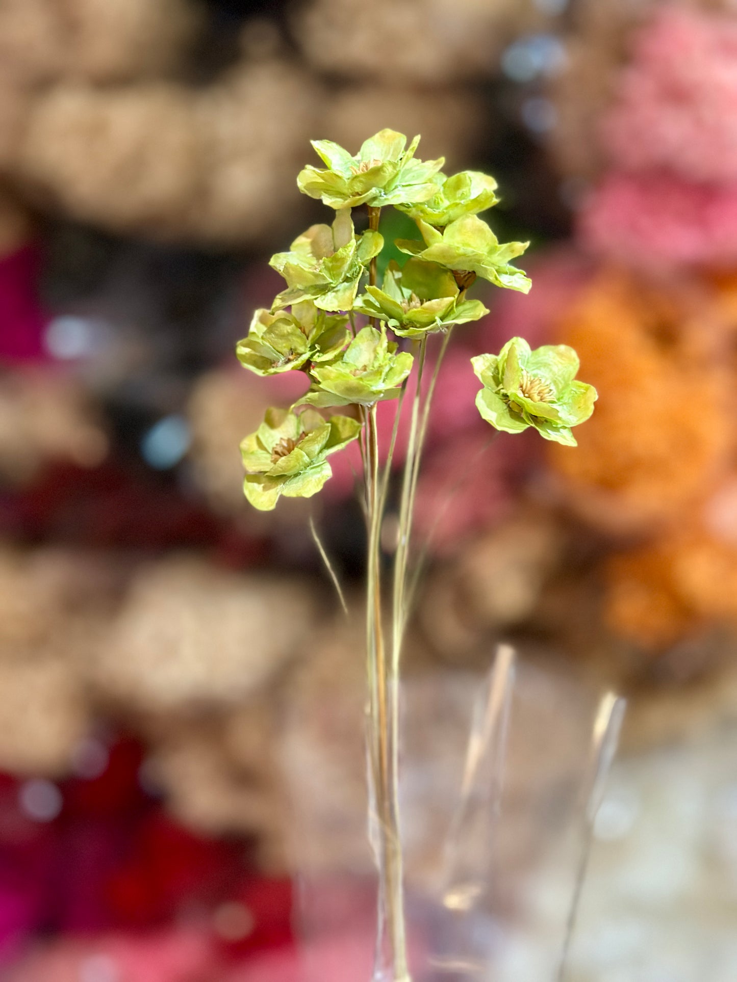 Small Bellflowers - 10 stems/Pack