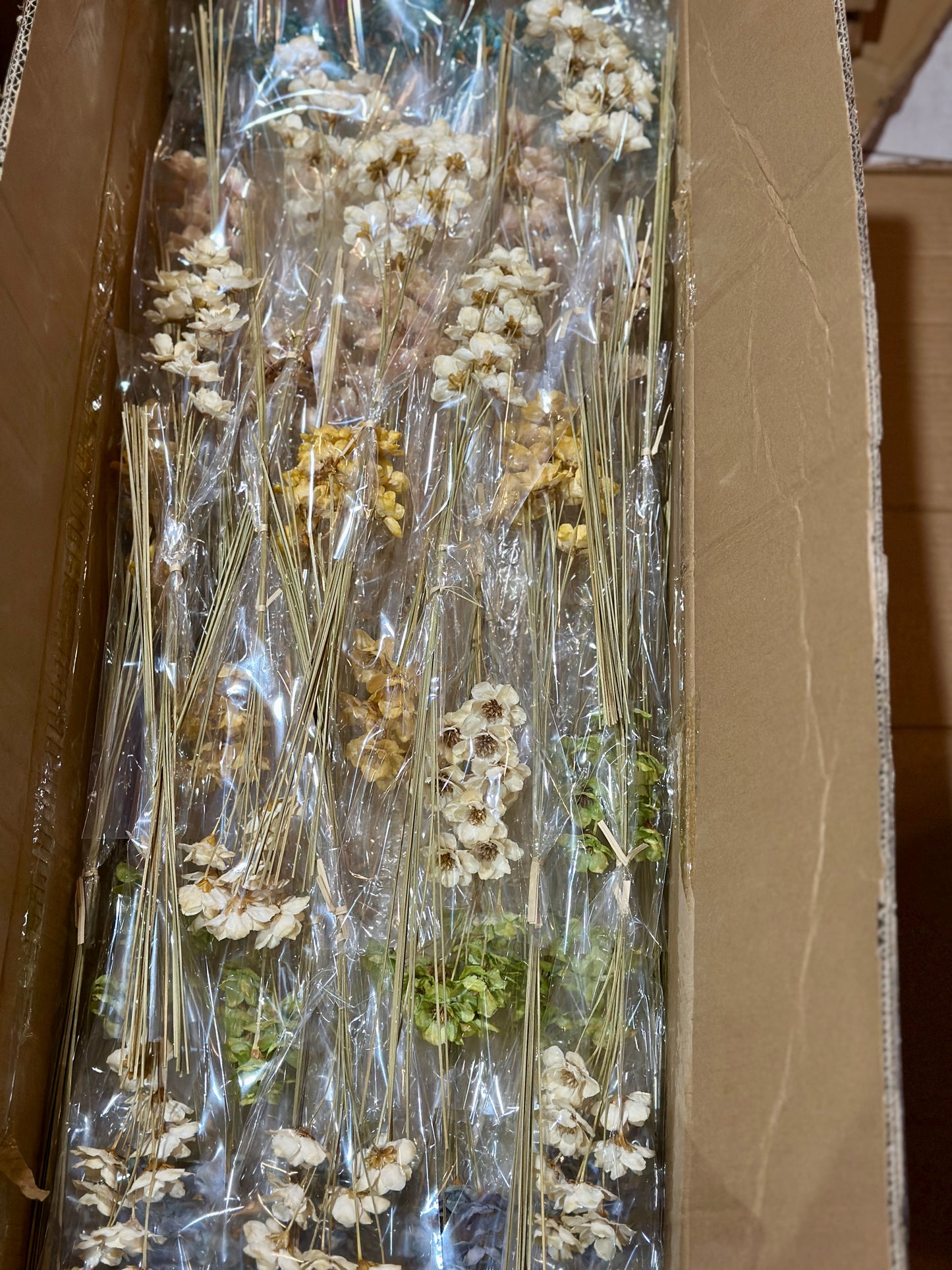 Small Bellflowers - 10 stems/Pack
