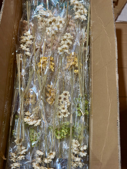 Small Bellflowers - 10 stems/Pack