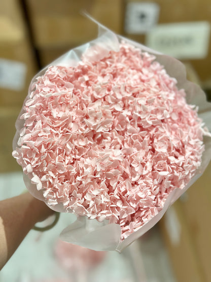 Anna Hydrangeas Big Bunch