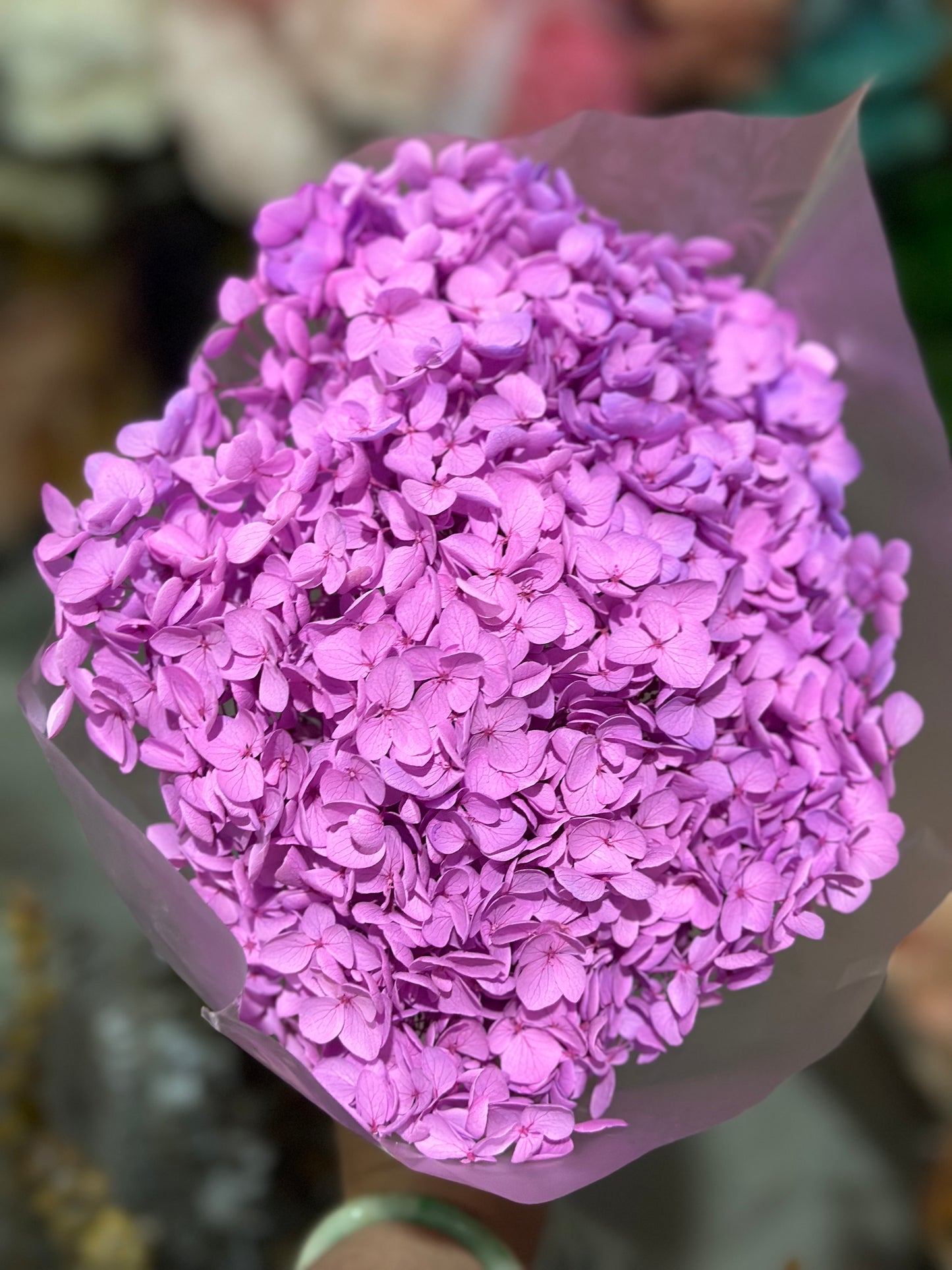 Anna Hydrangeas Big Bunch