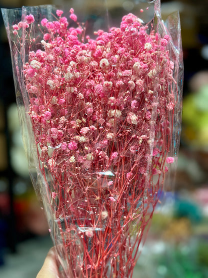 Baby's Breath
