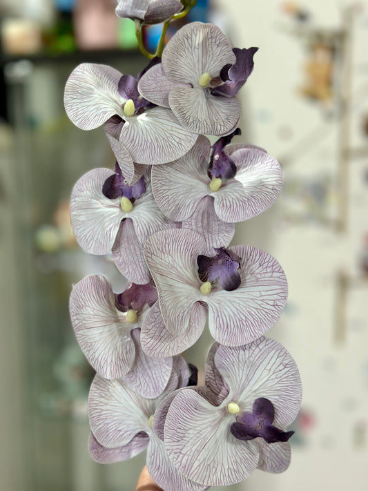 High Quality 3D Printed 9 Heads Orchids