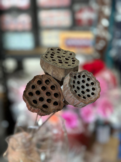 Lotus Seed Pod
