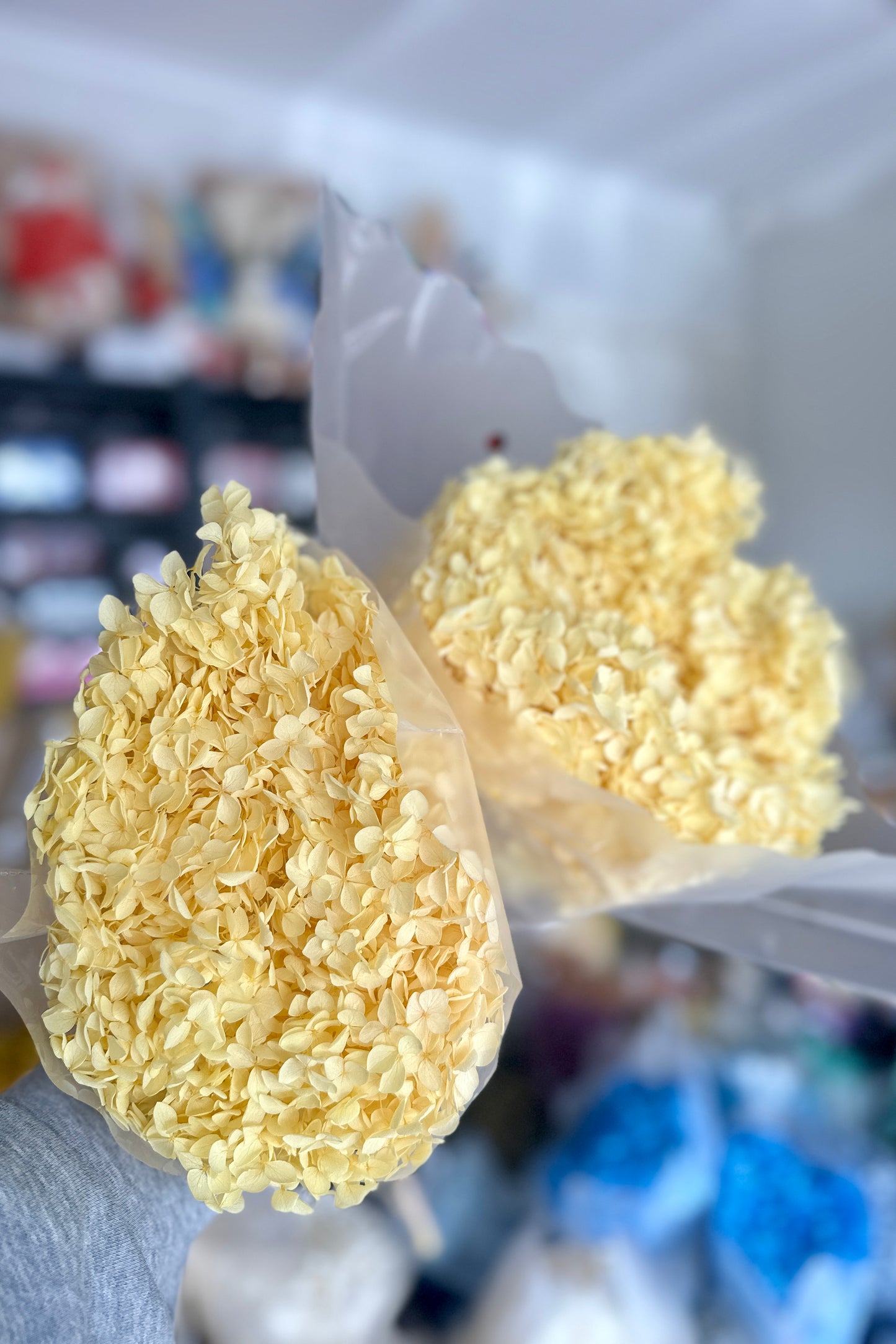 Anna Hydrangeas Big Bunch