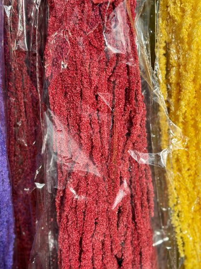 Amaranthus