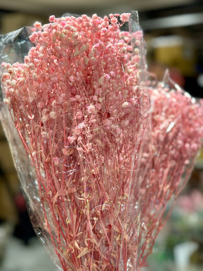 Baby's Breath