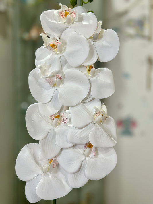High Quality 3D Printed 9 Heads Orchids