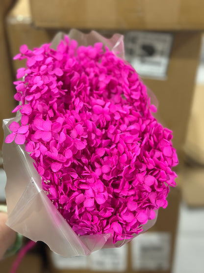 Anna Hydrangeas Big Bunch